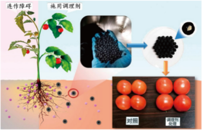 设施茄果类蔬菜连作障碍生态土壤调理剂的制备与应用技术.jpg