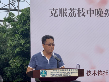 广东省农业科学院果树研究所研究员向旭在会上发言