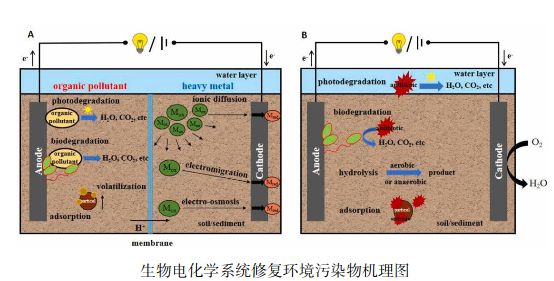 微信图片_20241011183634.png